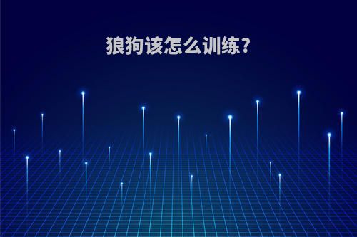 狼狗该怎么训练?