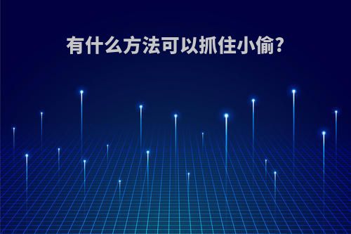 有什么方法可以抓住小偷?