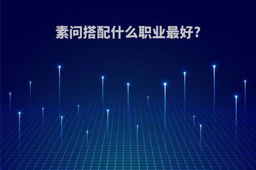 素问搭配什么职业最好?