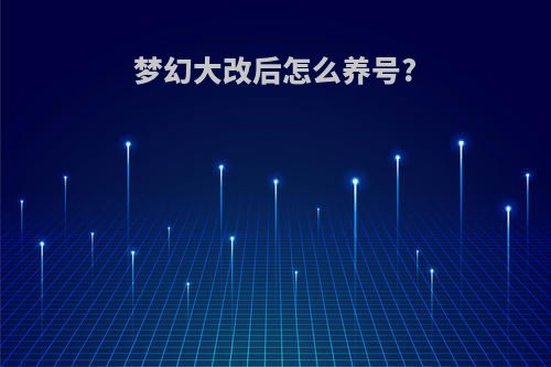 梦幻大改后怎么养号?