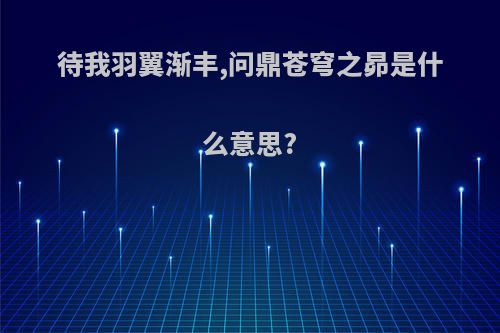 待我羽翼渐丰,问鼎苍穹之昴是什么意思?