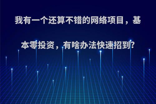 我有一个还算不错的网络项目，基本零投资，有啥办法快速招到?