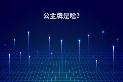 公主牌是啥?