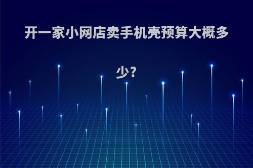 开一家小网店卖手机壳预算大概多少?
