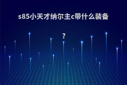 s85小天才纳尔主c带什么装备?