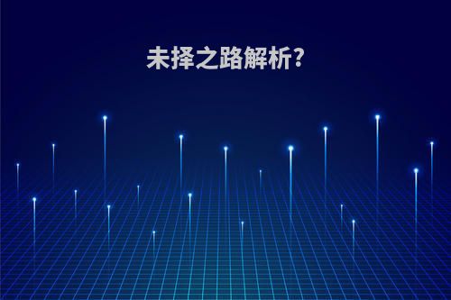 未择之路解析?