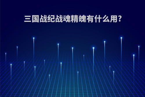 三国战纪战魂精魄有什么用?