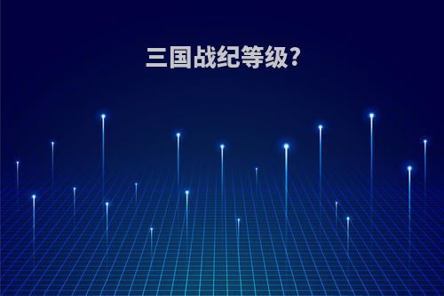 三国战纪等级?