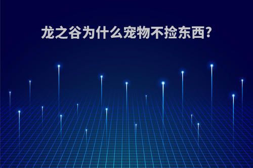 龙之谷为什么宠物不捡东西?