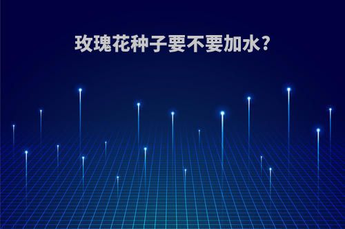 玫瑰花种子要不要加水?