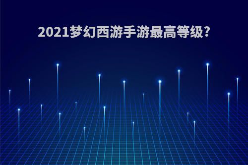 2021梦幻西游手游最高等级?