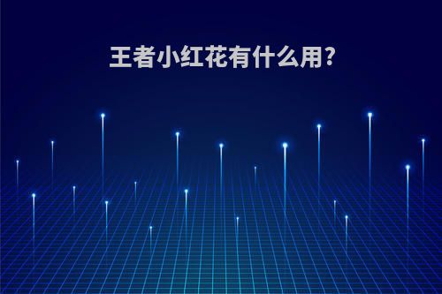 王者小红花有什么用?