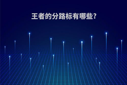 王者的分路标有哪些?