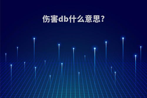 伤害db什么意思?