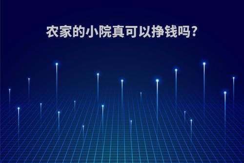 农家的小院真可以挣钱吗?