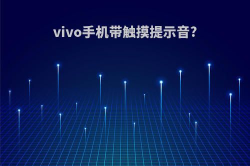 vivo手机带触摸提示音?