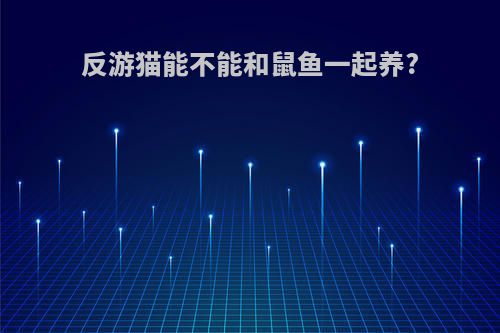反游猫能不能和鼠鱼一起养?
