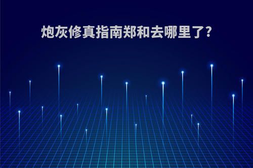 炮灰修真指南郑和去哪里了?