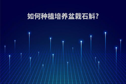 如何种植培养盆栽石斛?