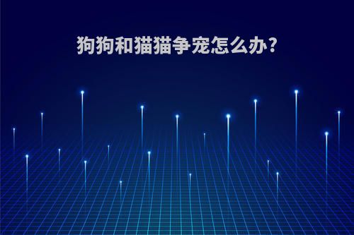 狗狗和猫猫争宠怎么办?