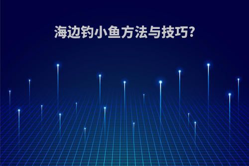 海边钓小鱼方法与技巧?