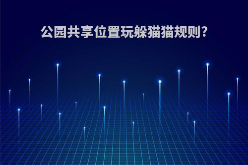 公园共享位置玩躲猫猫规则?