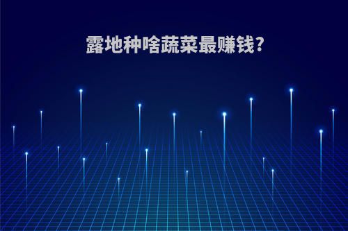 露地种啥蔬菜最赚钱?