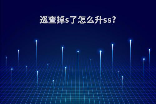 巡查掉s了怎么升ss?