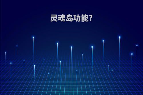 灵魂岛功能?