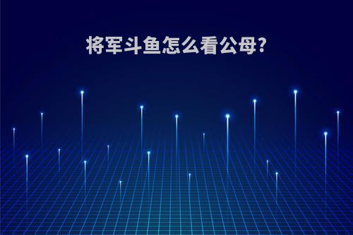 将军斗鱼怎么看公母?