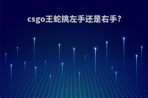 csgo王蛇挑左手还是右手?