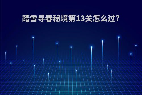 踏雪寻春秘境第13关怎么过?