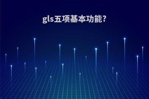 gls五项基本功能?