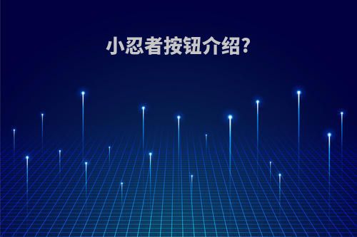 小忍者按钮介绍?