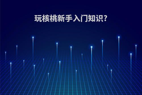 玩核桃新手入门知识?