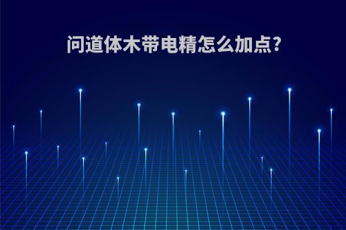 问道体木带电精怎么加点?