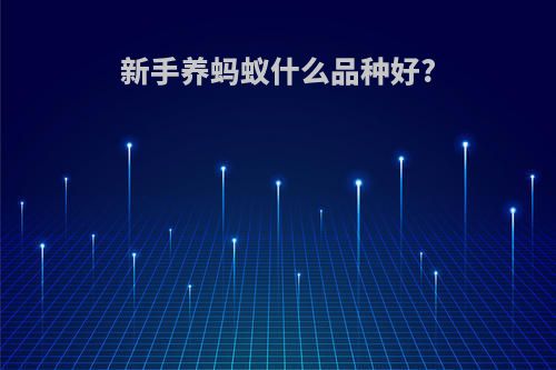新手养蚂蚁什么品种好?