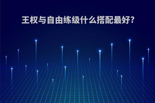 王权与自由练级什么搭配最好?