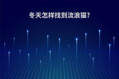 冬天怎样找到流浪猫?