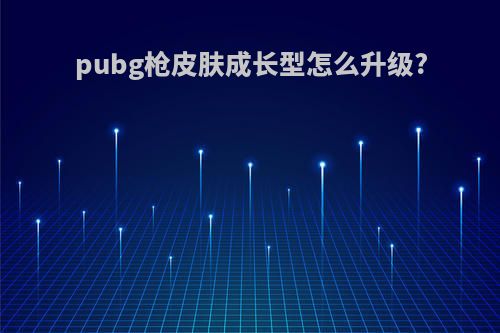pubg枪皮肤成长型怎么升级?